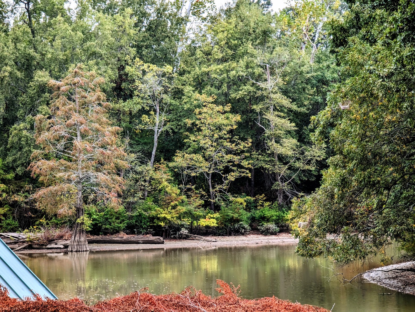 St. Francis Sunken Lands Wildlife Management Area