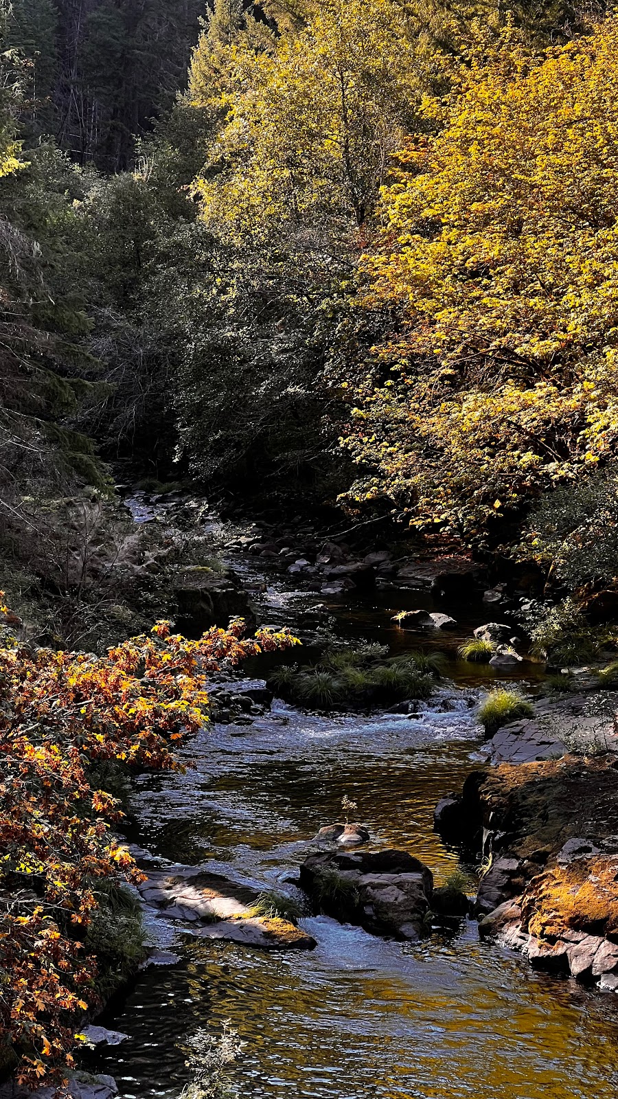 Canton Creek Campground