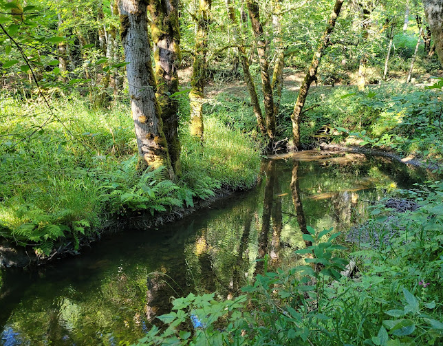 Scaponia Recreation Site