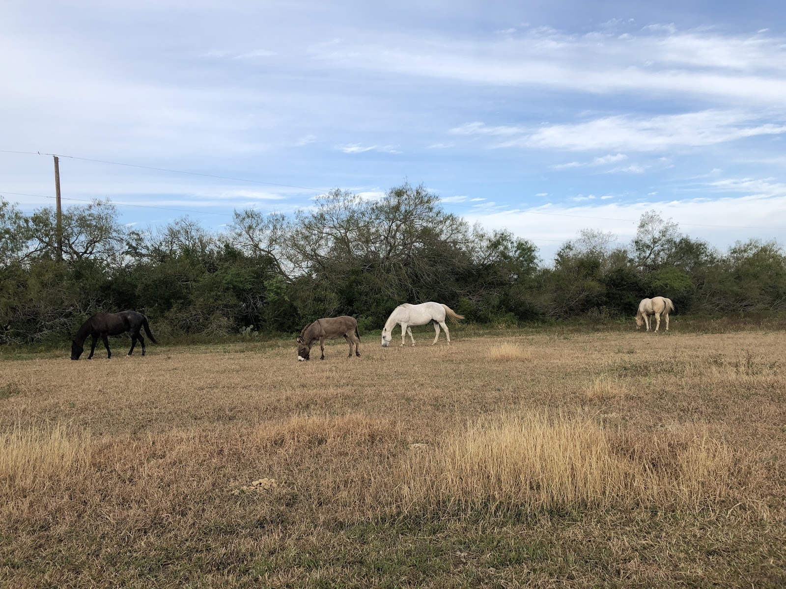 Camada Ranch RV Park