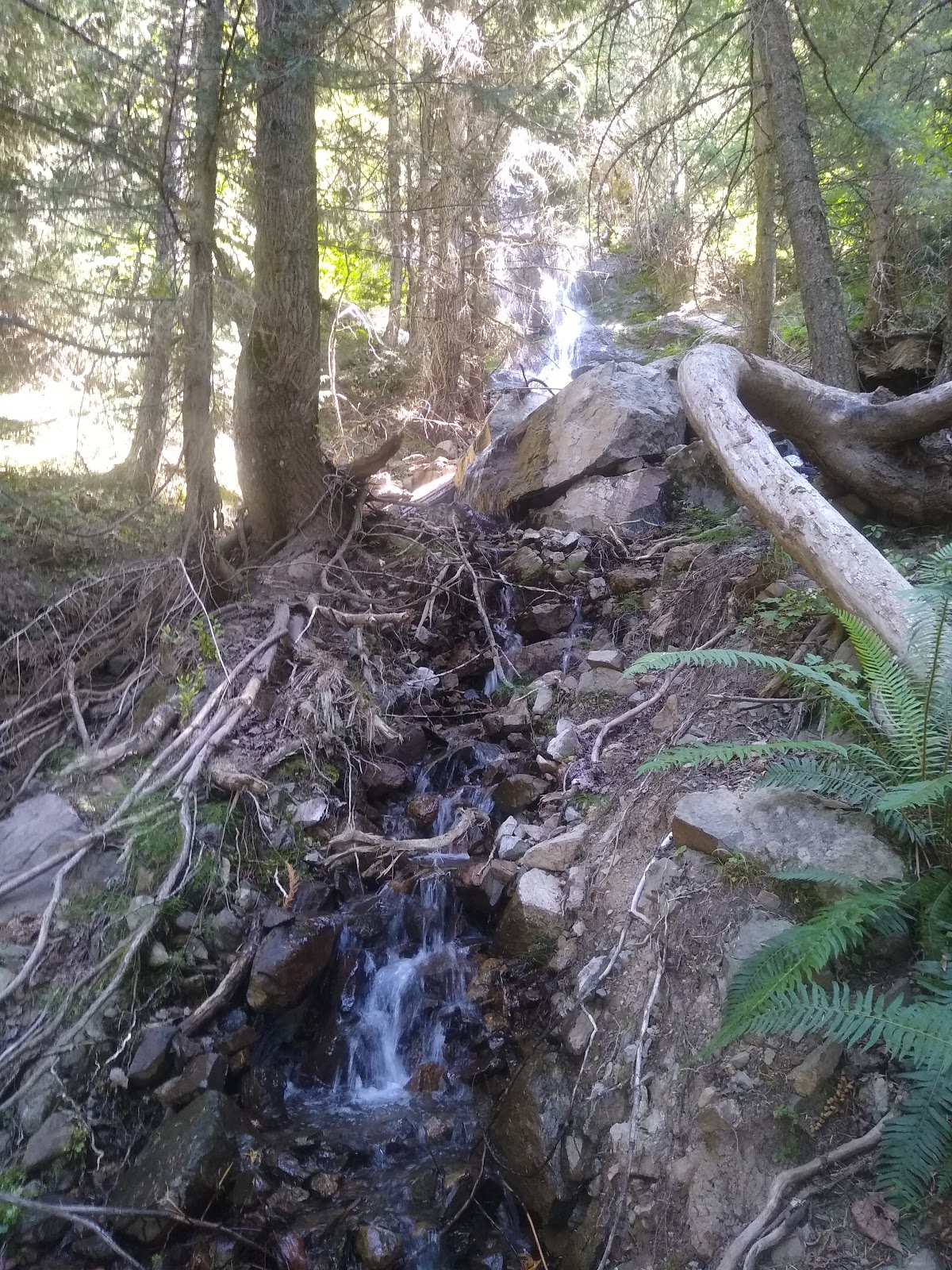 Half Camp Horse Campground