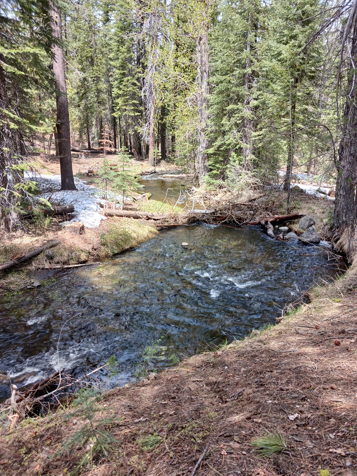 Butte Creek Campground
