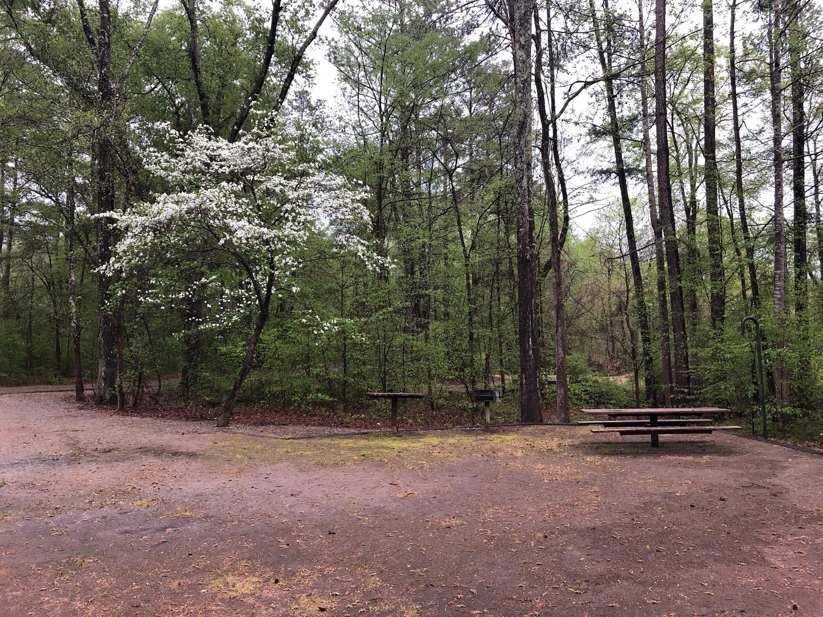 Broad River Campground - J Strom Thurmond Lake