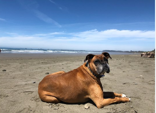 Turtle Rock RV Resort