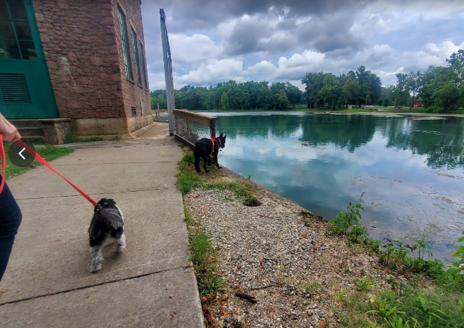 Mammoth Spring State Park