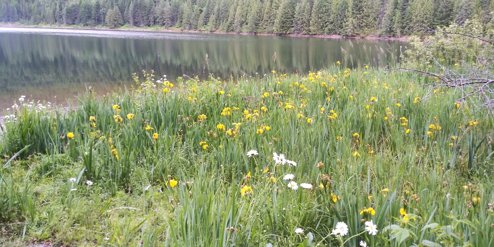 Marten Creek Group Campground