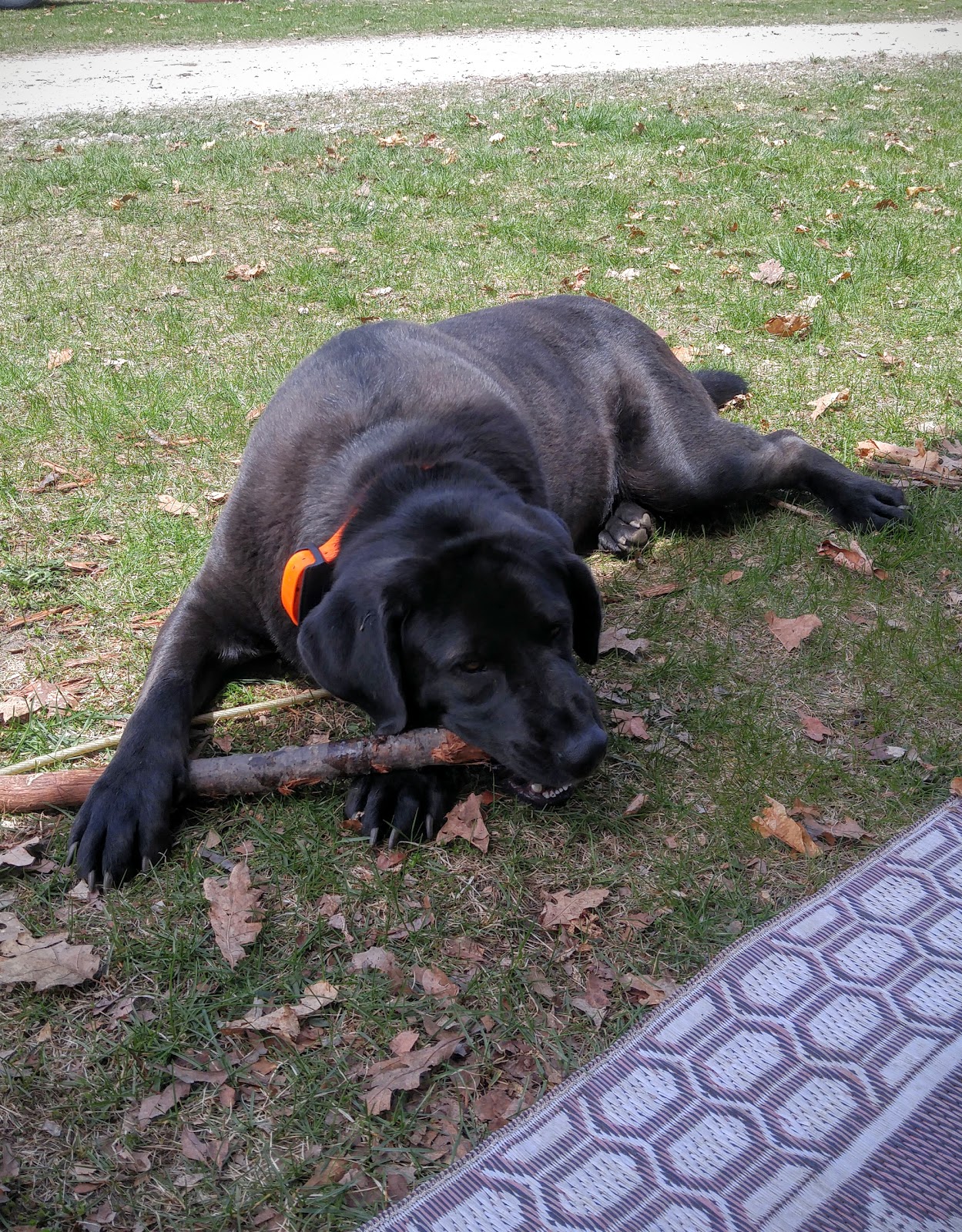 Great Circle Campground