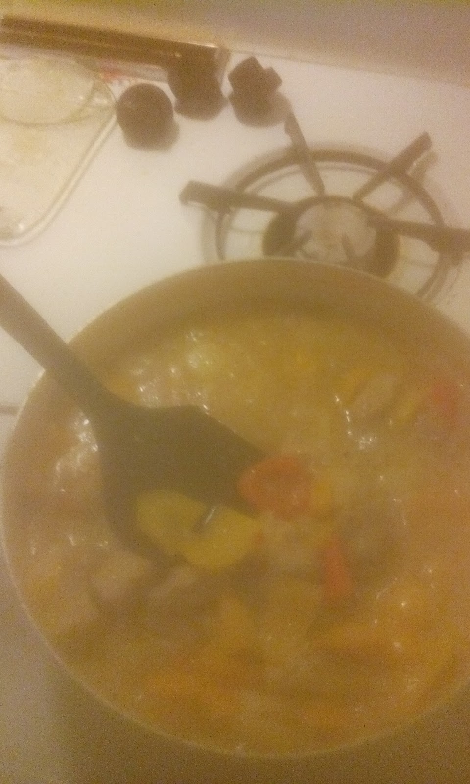 AuSable River Canoe Camp SF