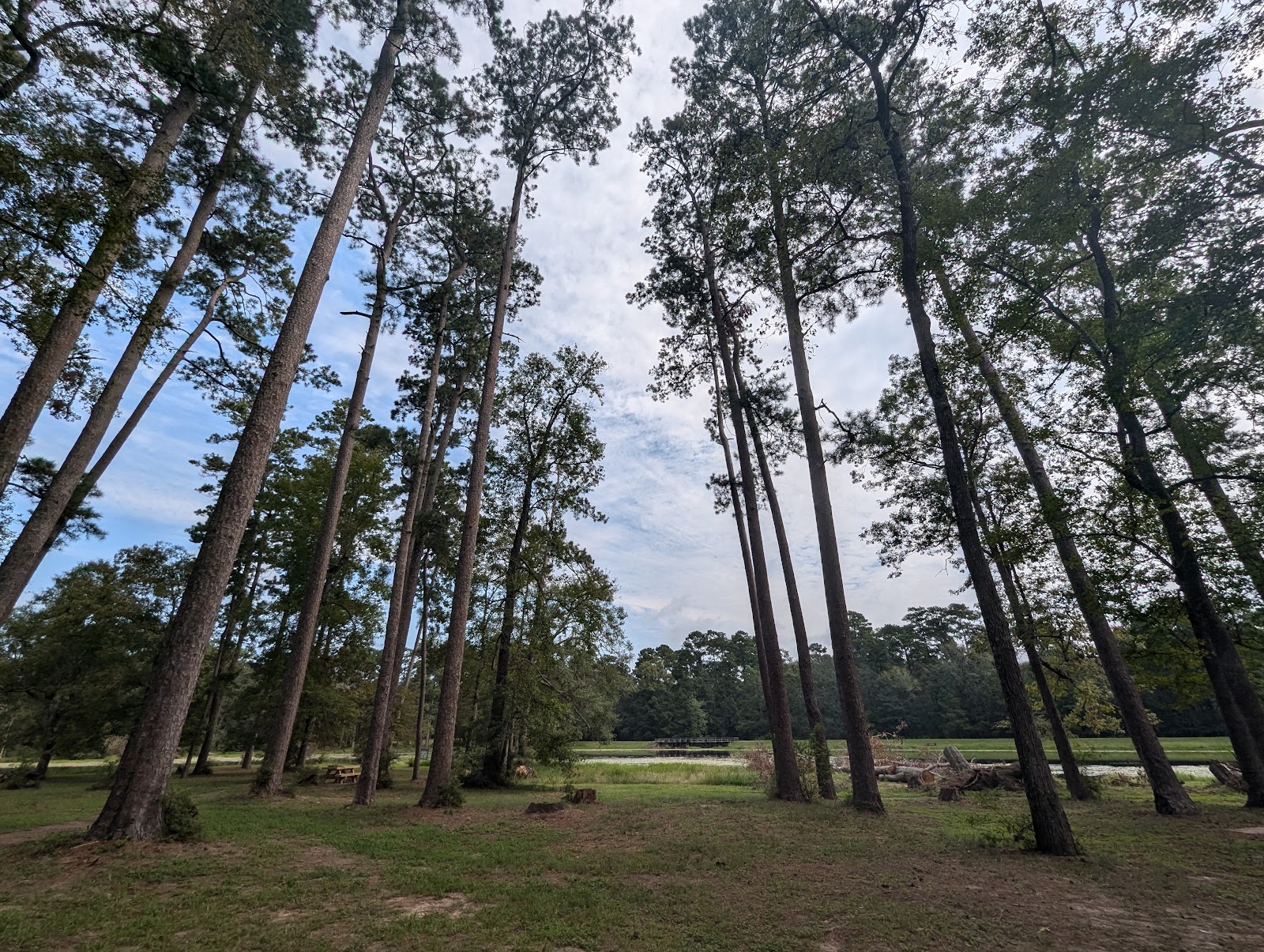 Double Lake NF Campground