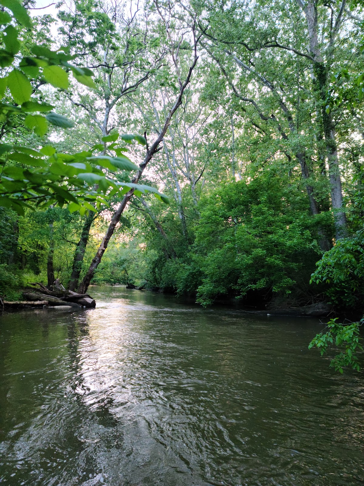 Jacoby Road Canoe Launch