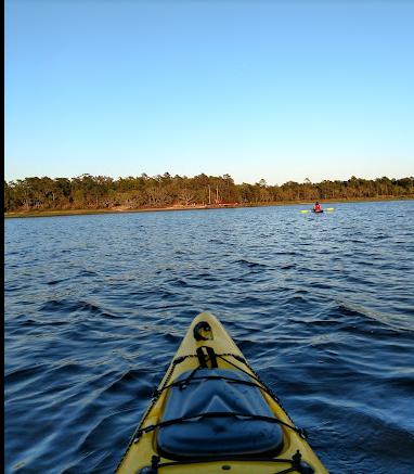 Carolina Beach State Park