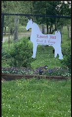 Laurel Hill Trail and Camp