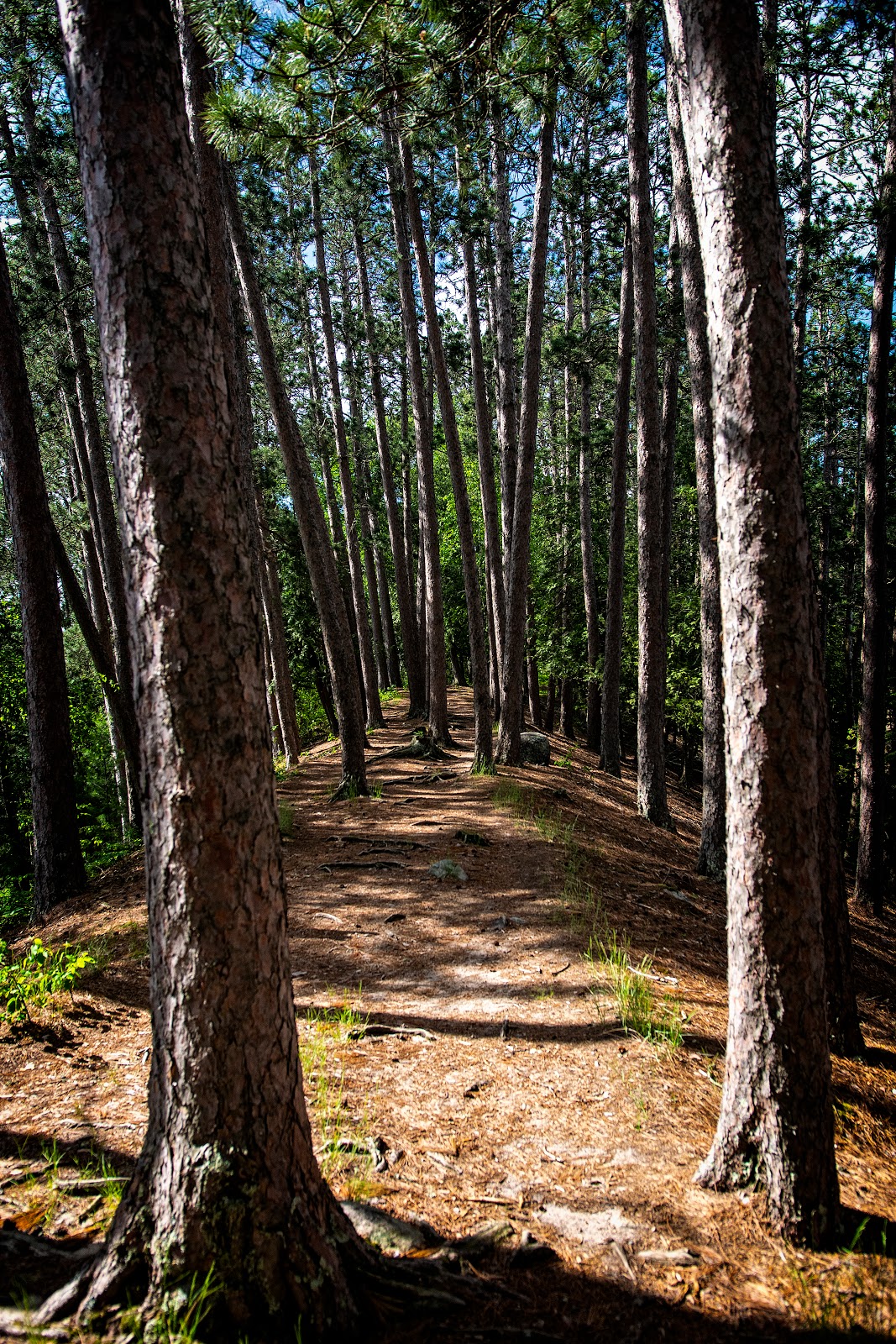 Chase Point - Scenic State Park