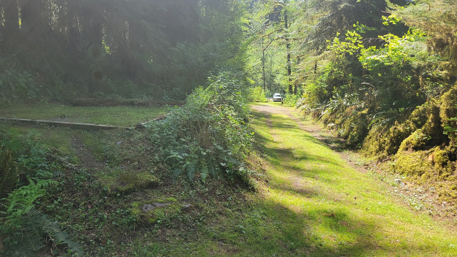 Esswine Group Campground