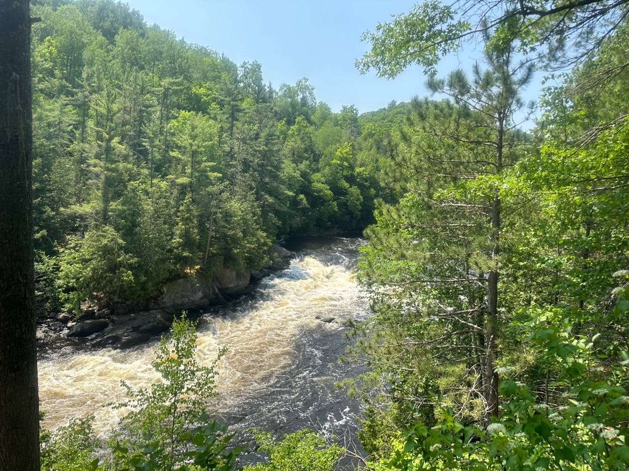 Wildman Adventure Resort