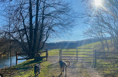 Mason - Dixon Historical Park Camping