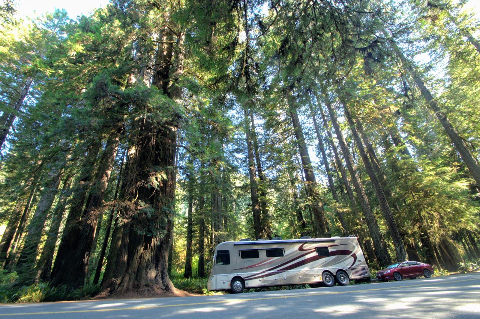 Grants Pass/Redwood Hwy Campground