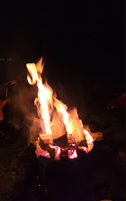 Beaver's Run RV Park & Fish Camp