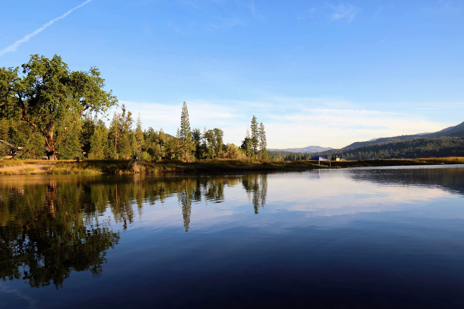 Forks Campground (Sierra)