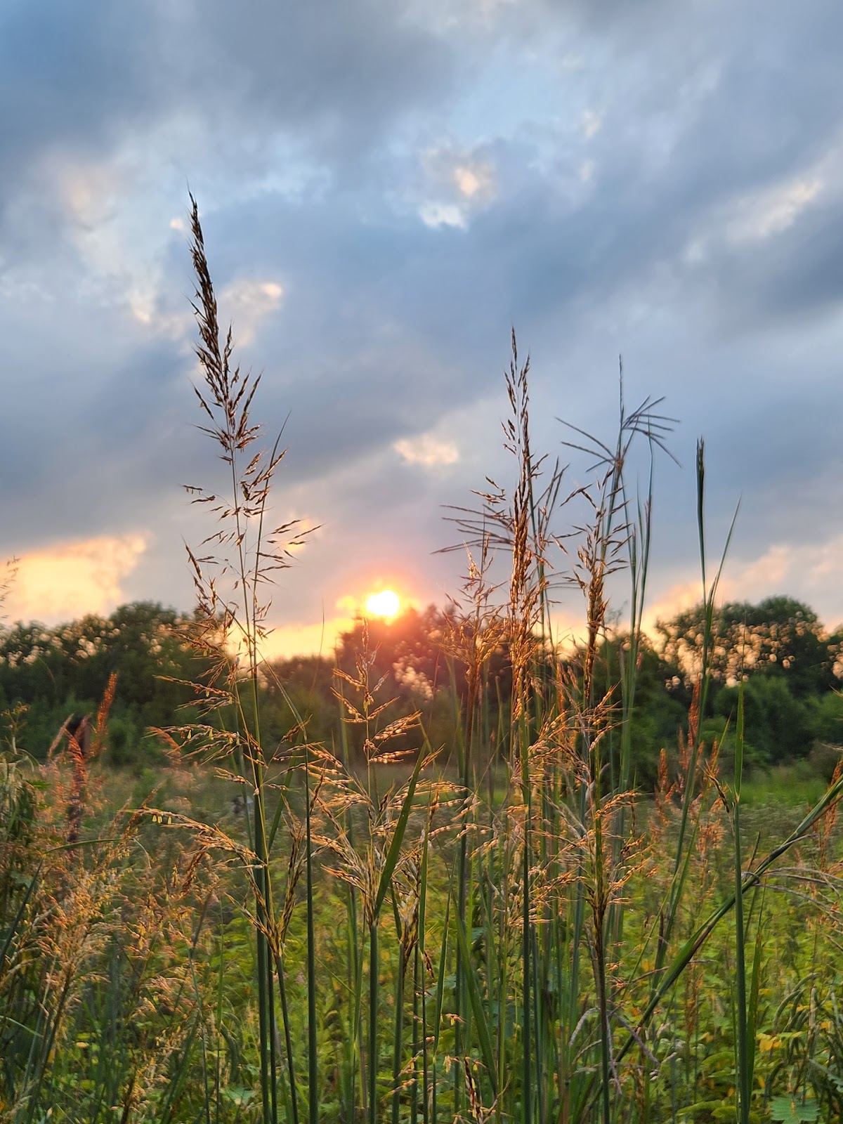 Daubenspeck Community Nature Park