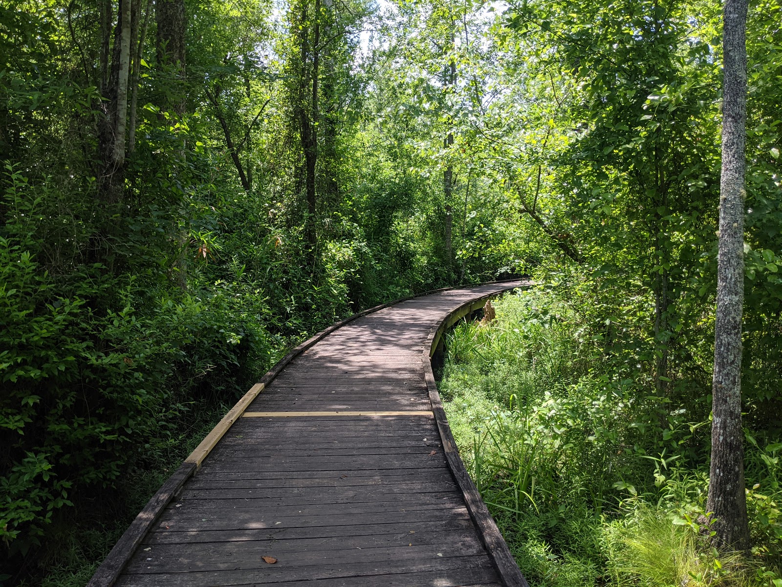 Lee State Park Campground