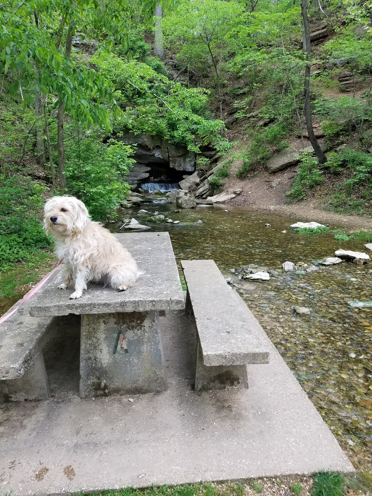 Blowing Springs RV Park