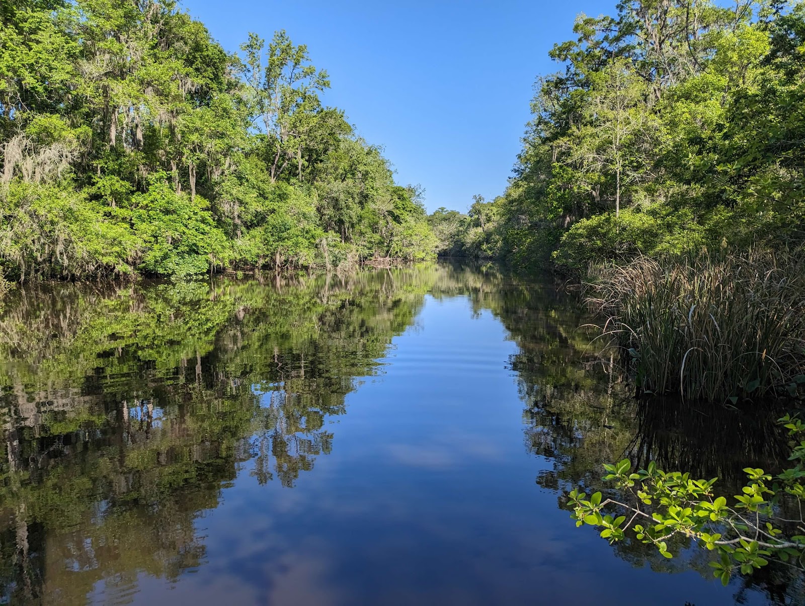 Savannah Oaks RV Resort