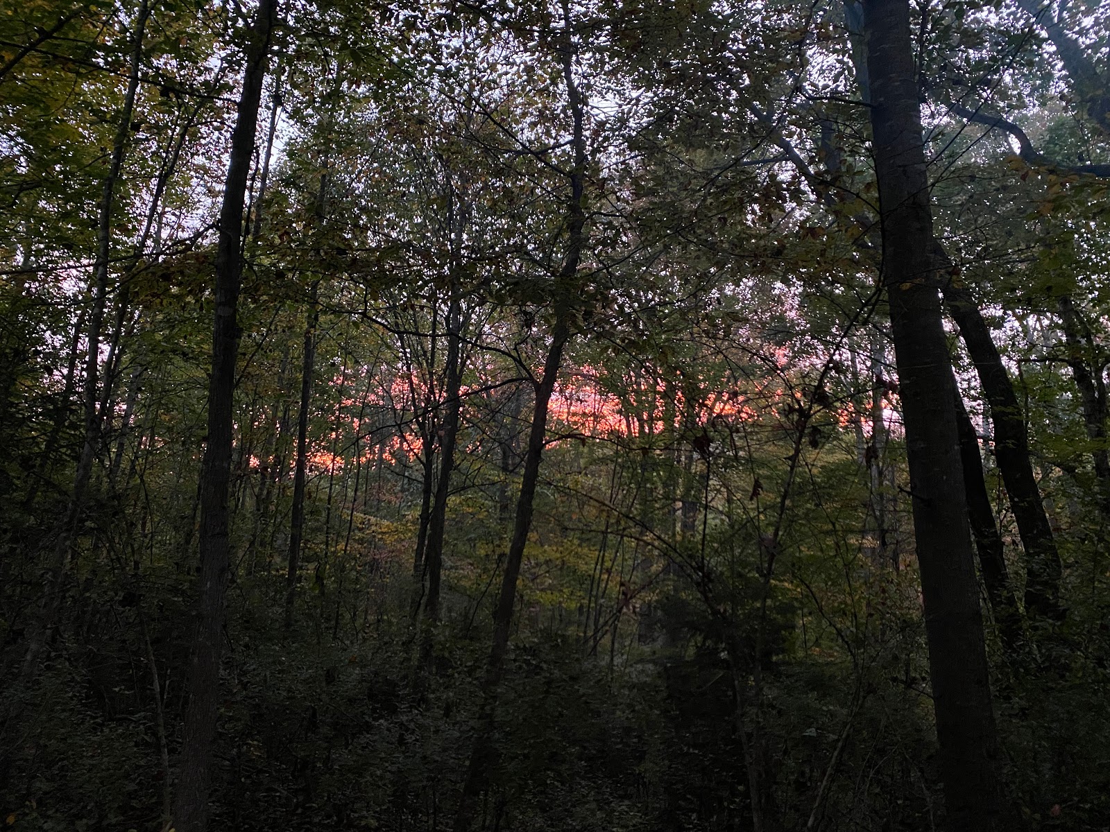 Little Fort Campground