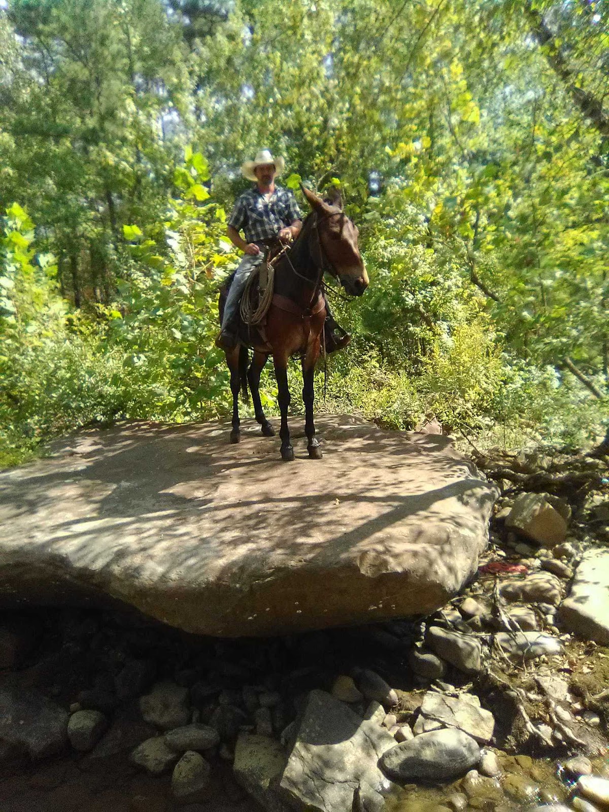 Lonesome D Horse Camp RV Park