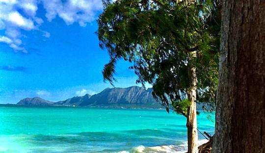 Bellows Field Beach Park
