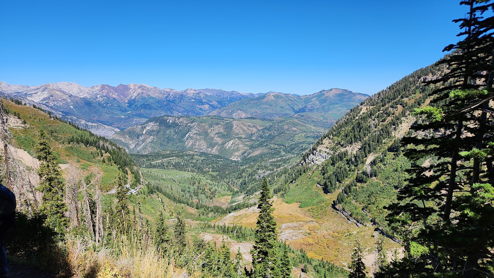 Lyman Lake Campground