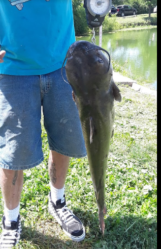 MGM Lakeside Campground