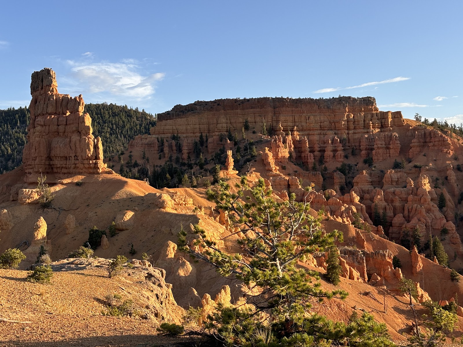 Red Canyon Campground