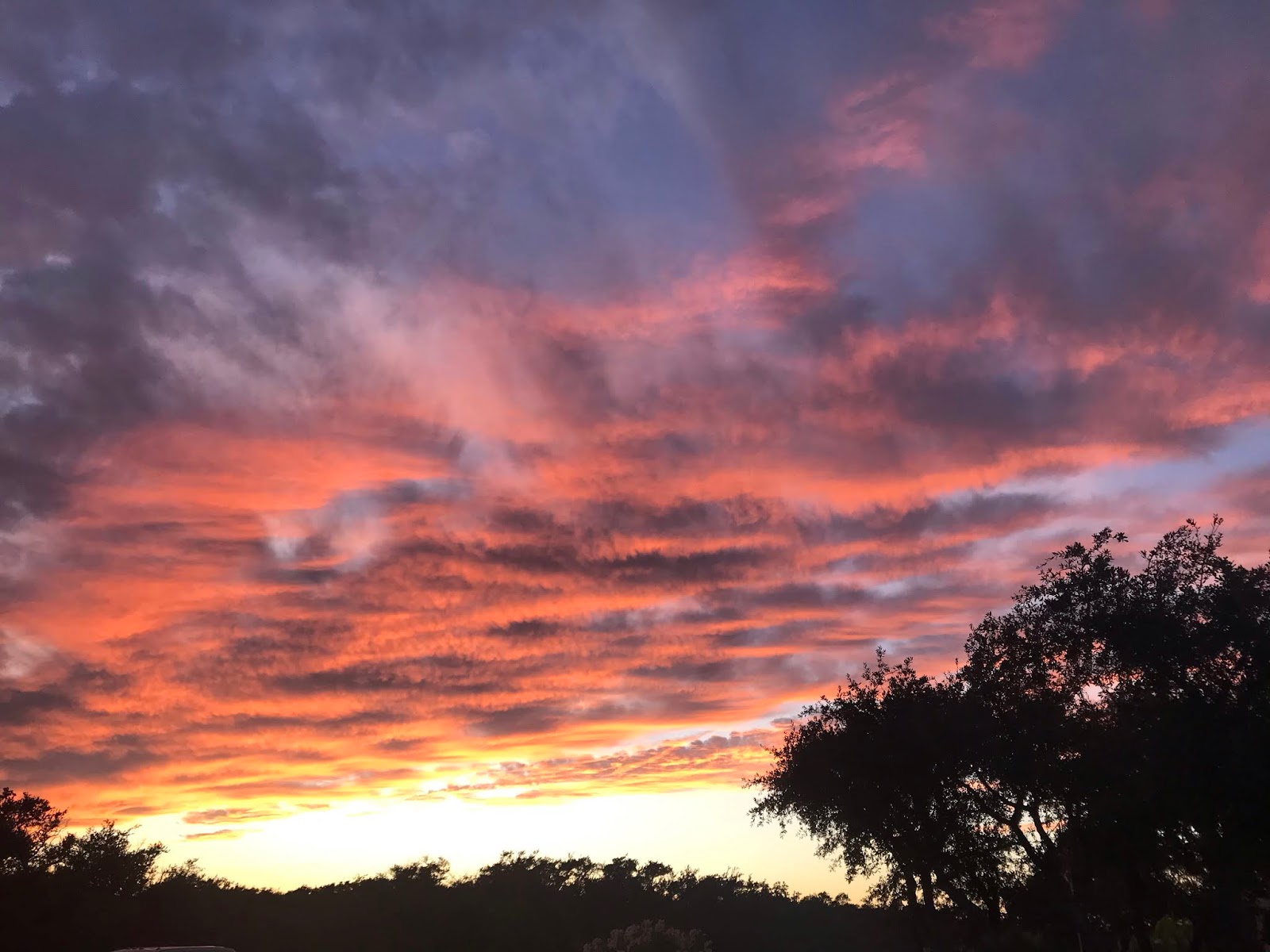 Aransas Bay RV Resort