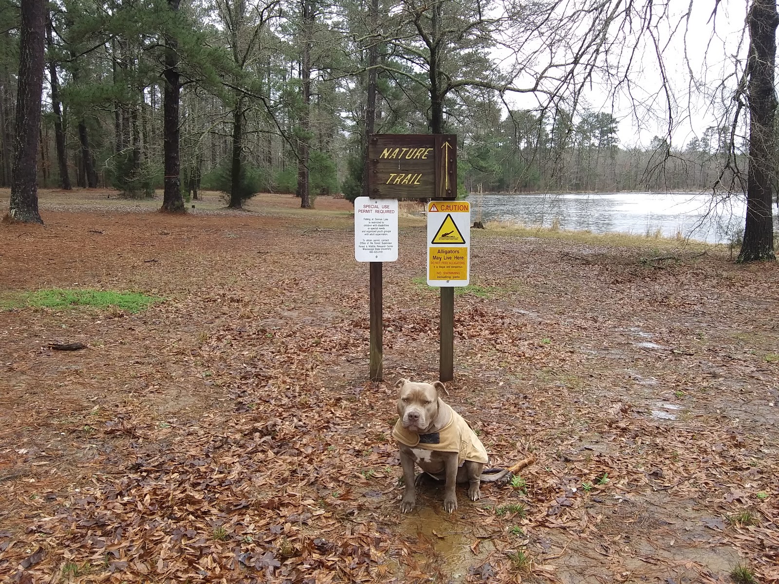 John W. Starr Memorial Forest WMA