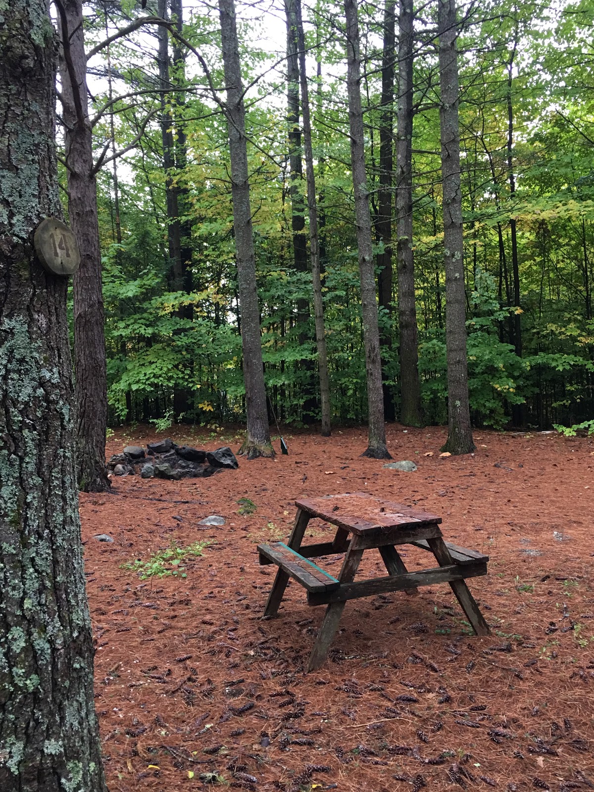 Schroon Lake Campground