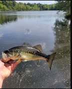 Massasoit State Park Campground