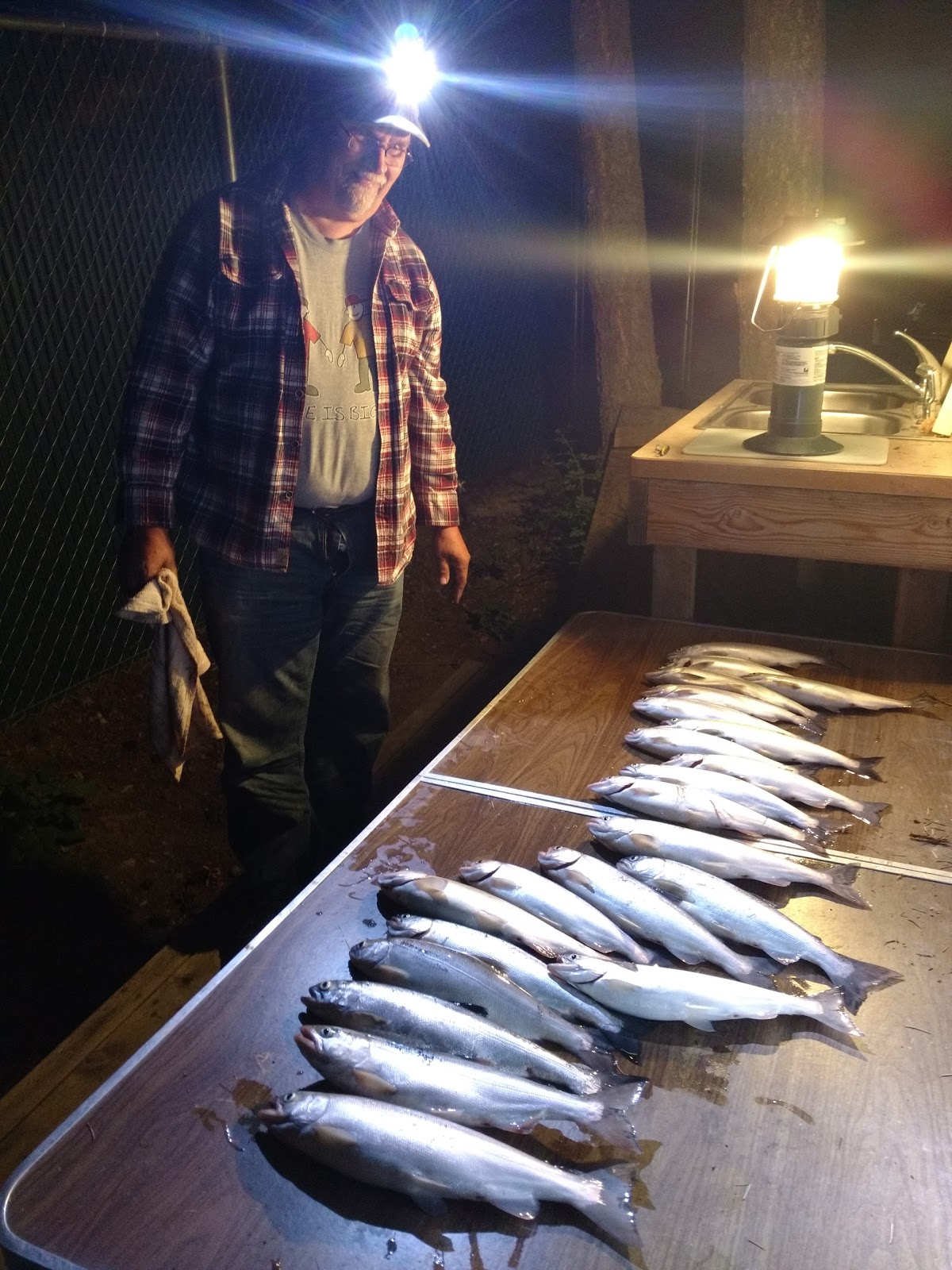 Mountain Meadows Resort & RV Park