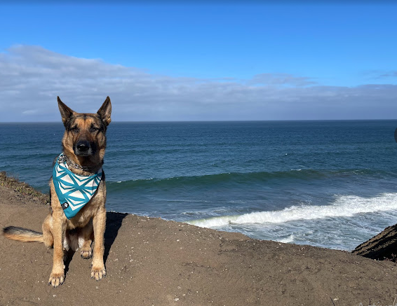 San Francisco RV Resort