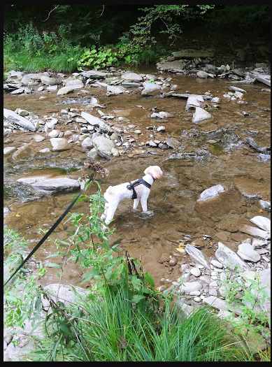 Sugar Creek Glen Campground
