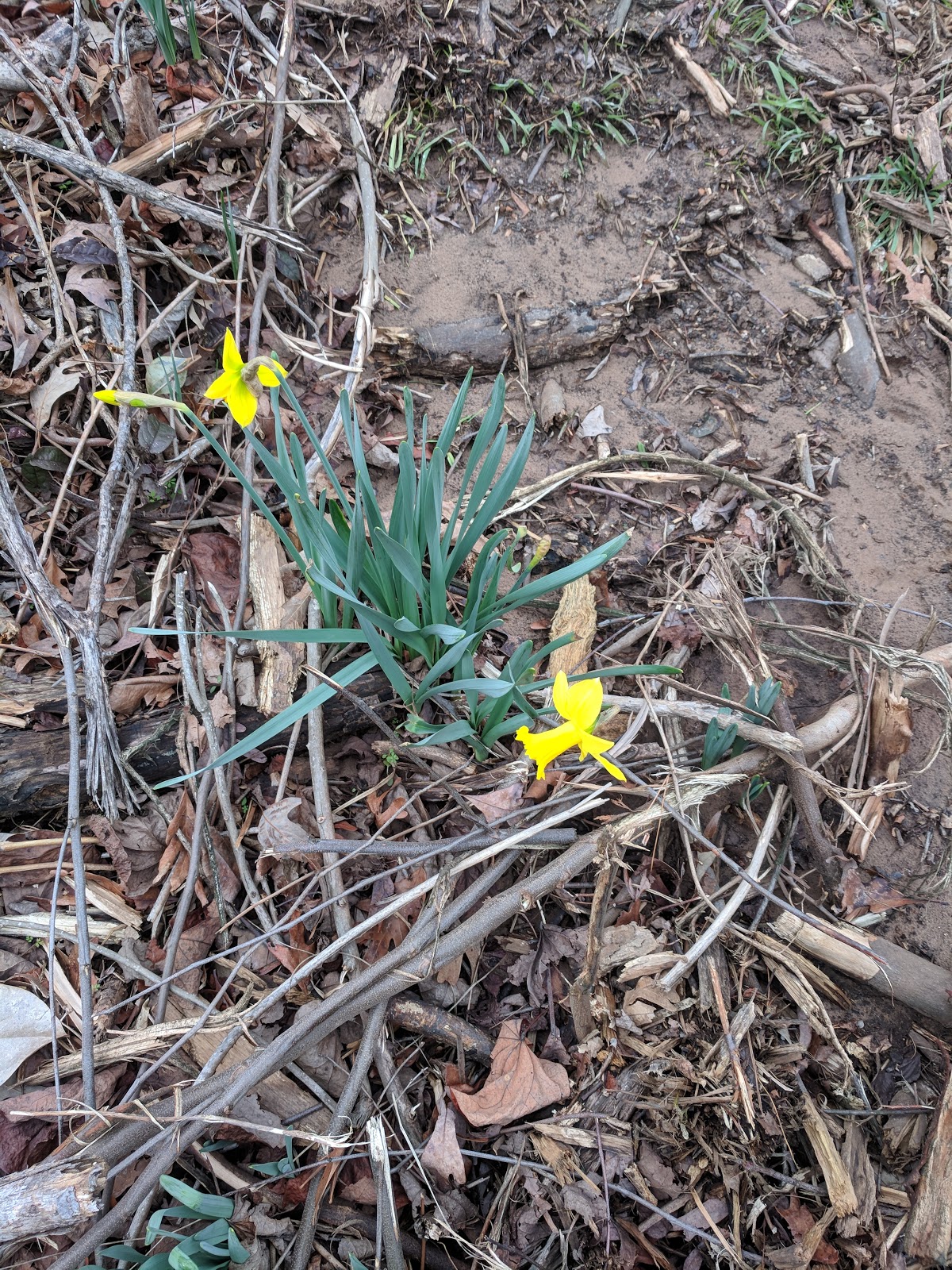 Lakeview Camping Resort