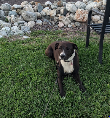 Seaview Campground & Cottages