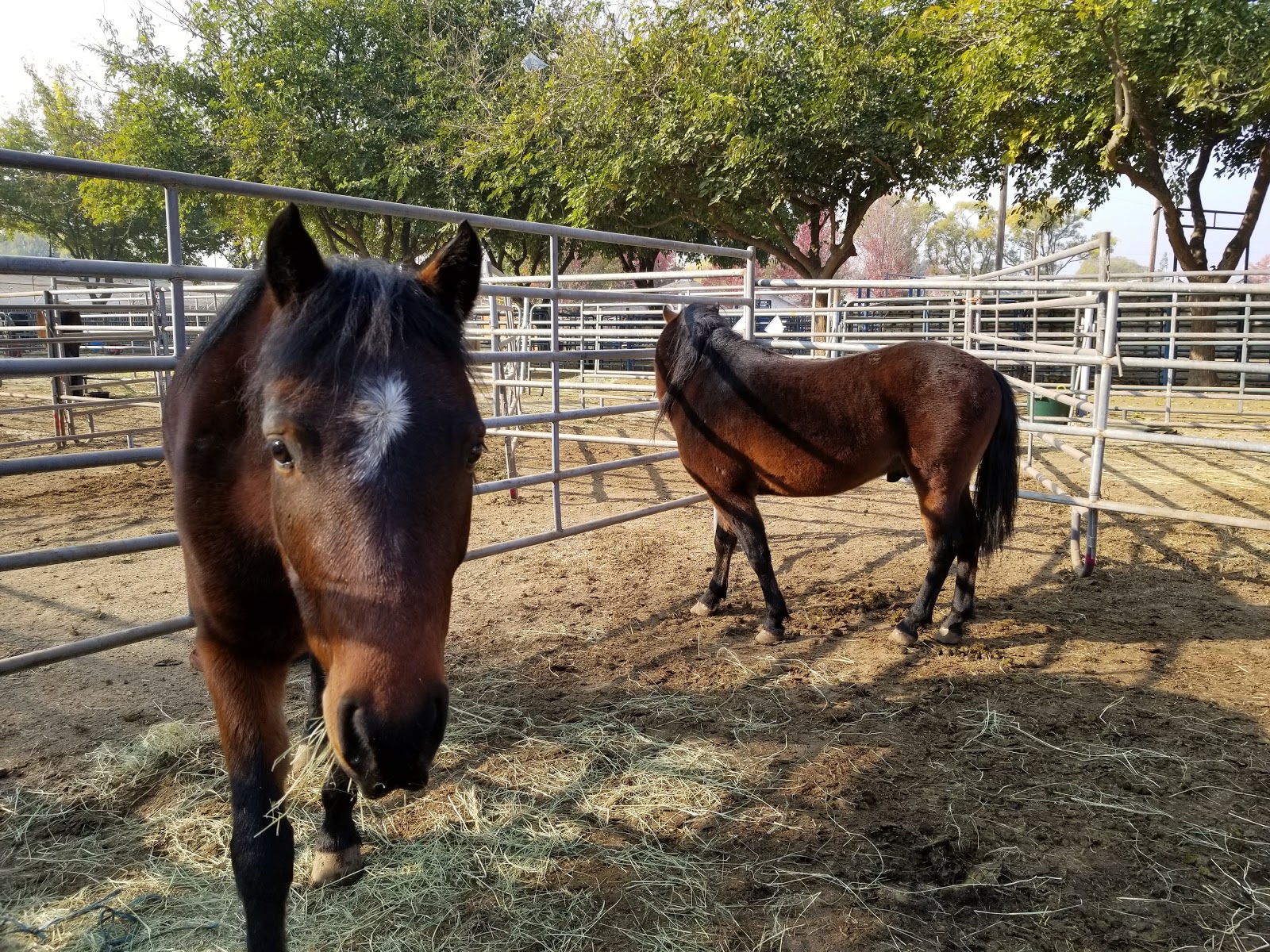 Butte County Fairgrounds