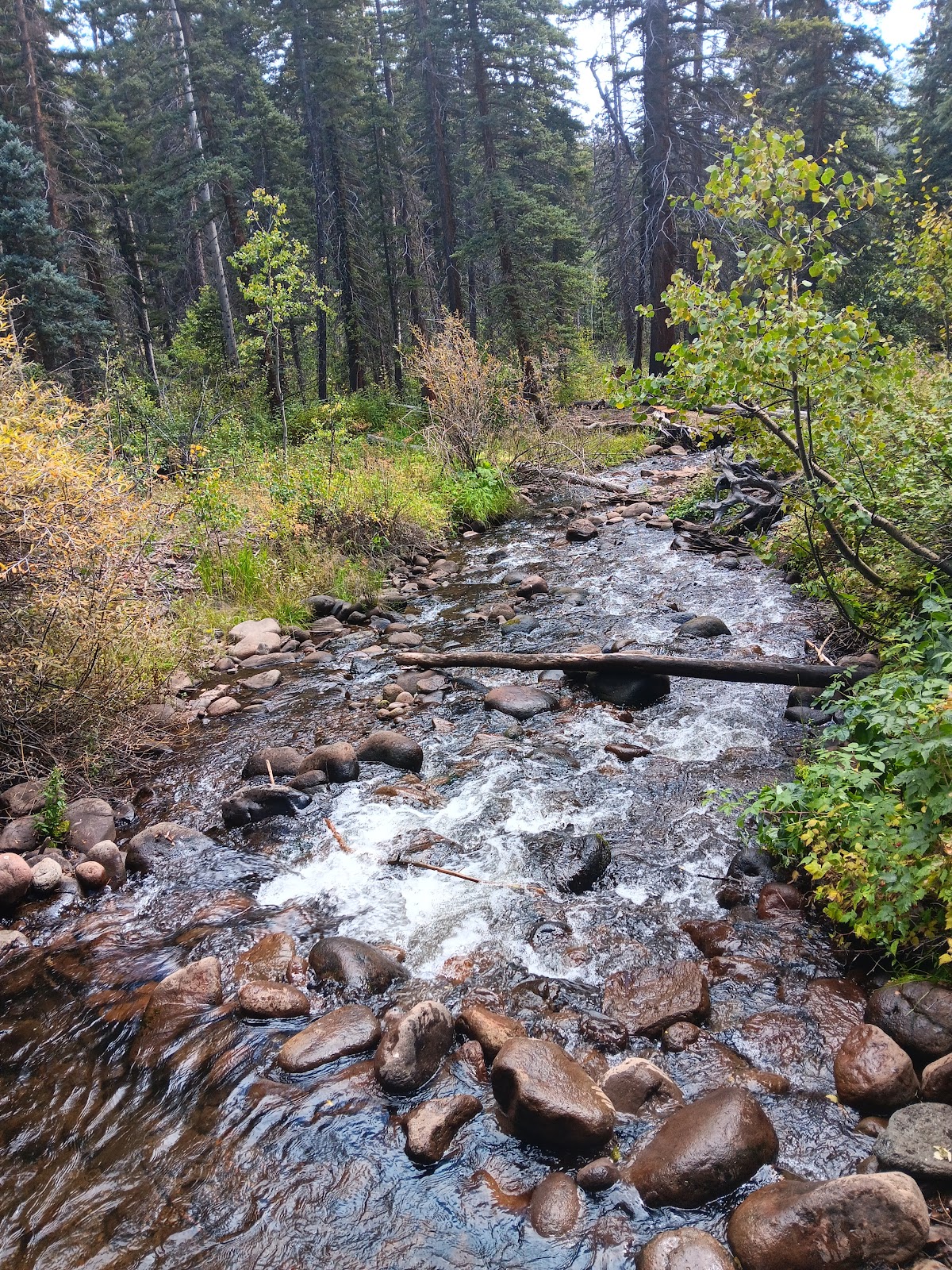 Cathedral Campground