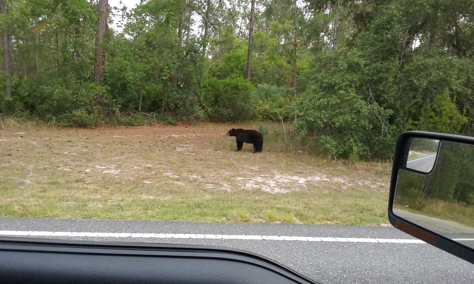 Wild Woods Campground