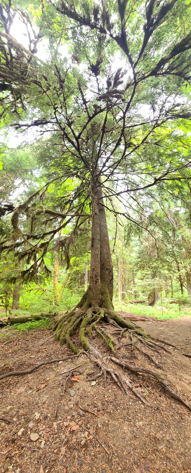 Paradise Creek Campground