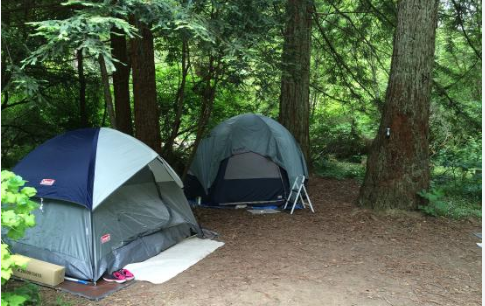 Russian Gulch State Park