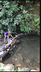 Nantahala Tiny Homes & RV Park