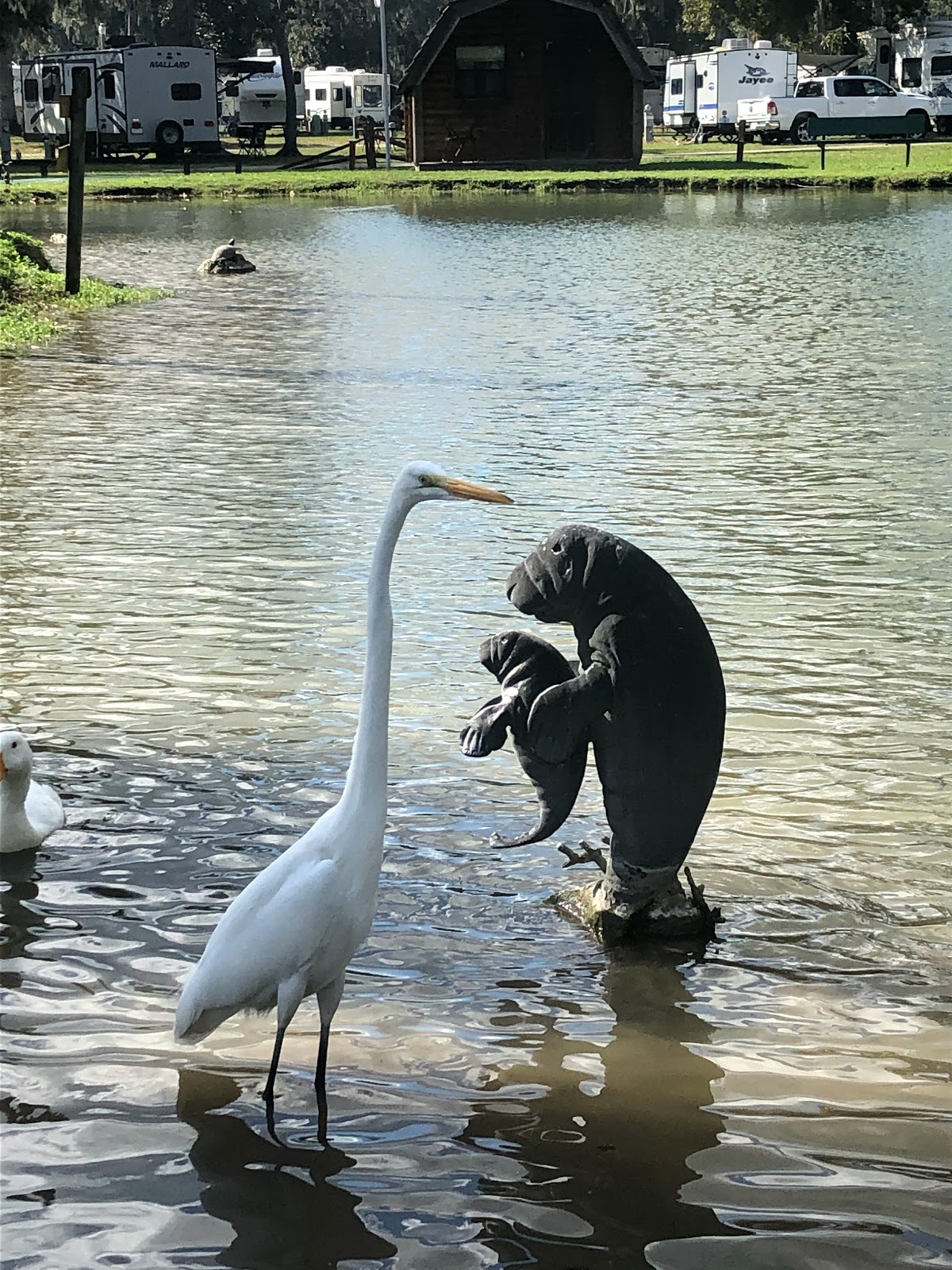 Ocala RV Camp Resort