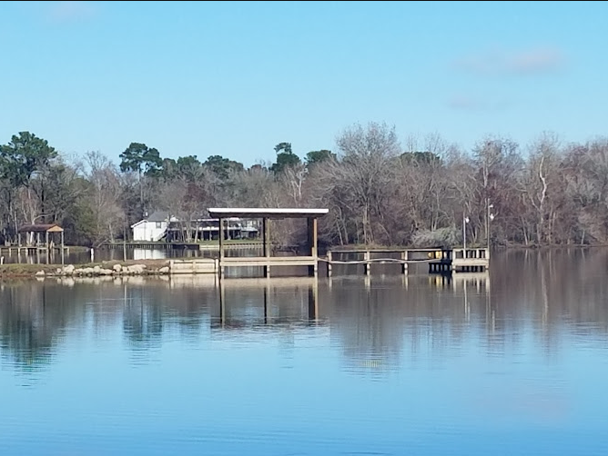 Cove Marina and Campground